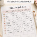Fiche gratuite pour organiser ses finances et fonds